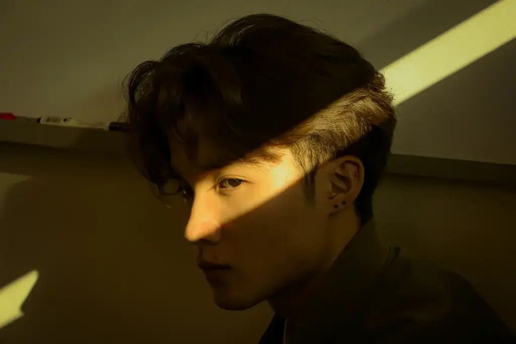 ISFJ適合的職業：量身打造你的職場生涯